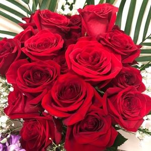 Meet your Posher, Kat